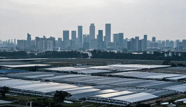软件性能优化中的数据处理与资源分配